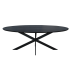 Eiken Eettafel Ferris - Ovaal 210 Cm - Zwart